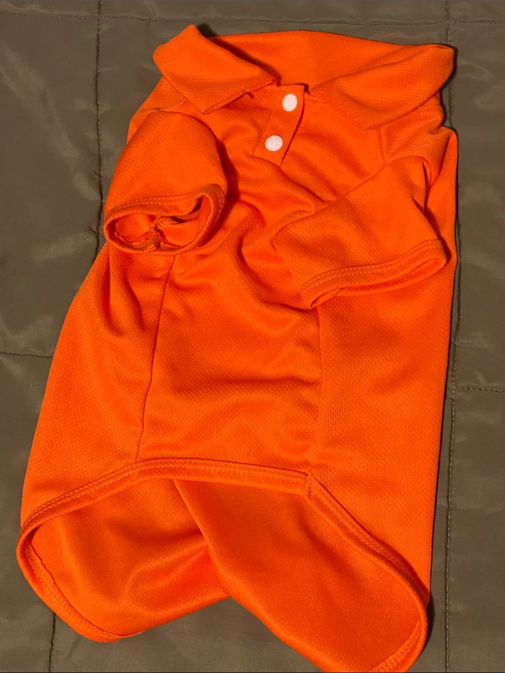 Bright Multi-Color Polo Pet Shirts — Red, Lime, Orange, Blue